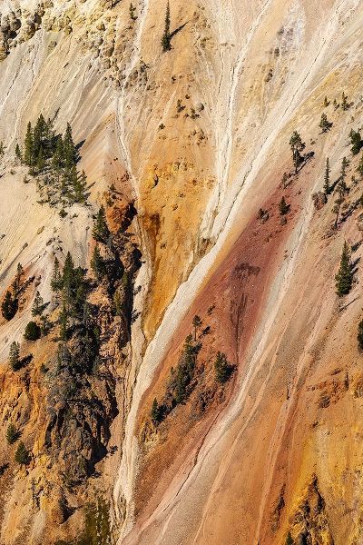 Jones, Adam 아티스트의 Steep colorful canyon walls of hydrothermally altered rhyolite-Grand Canon of the Yellowstone작품입니다.